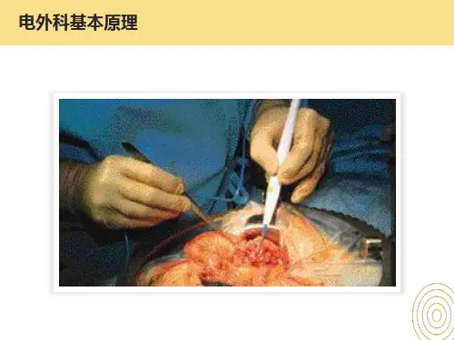 电外科基本原理