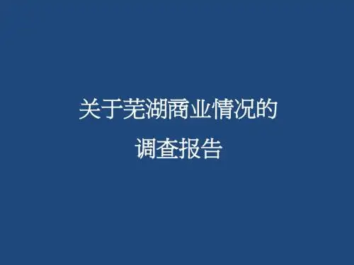 关于芜湖商业情况的调查1315198619