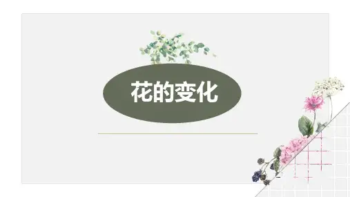 第6课花的变化课件苏少版初中美术七年级上册