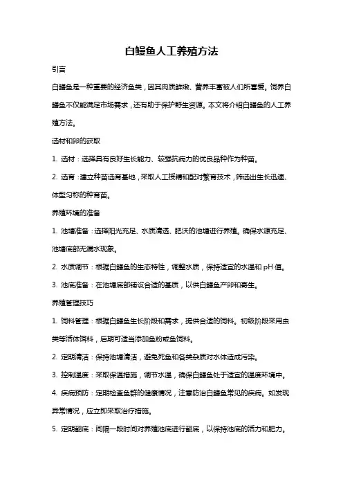 白鳗鱼人工养殖方法