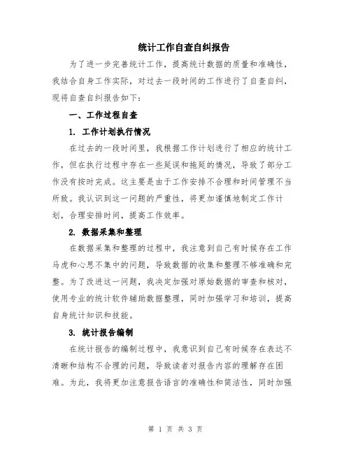 统计工作自查自纠报告