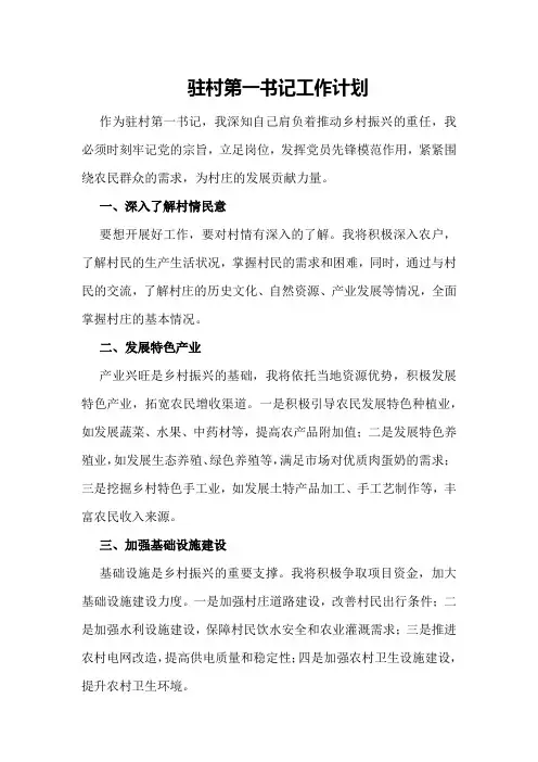 驻村第一书记工作计划