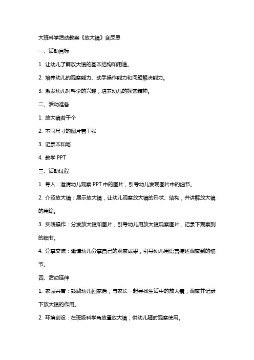 大班科学活动教案《放大镜》含反思