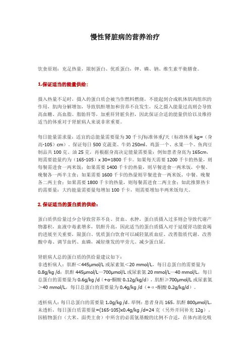 慢性肾脏病的营养治疗