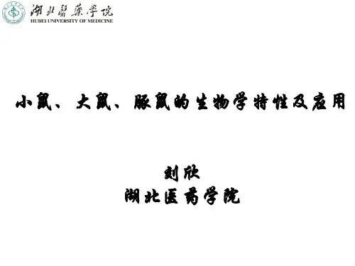 小鼠、大鼠、豚鼠的生物学特性及应用
