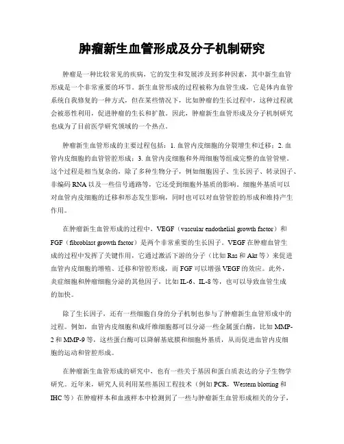 肿瘤新生血管形成及分子机制研究