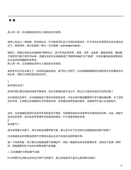 海底植物的生存智慧
