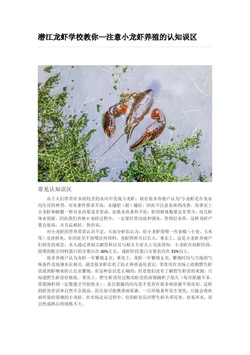 小龙虾养殖的认知误区