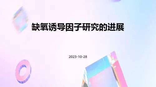 缺氧诱导因子研究的进展