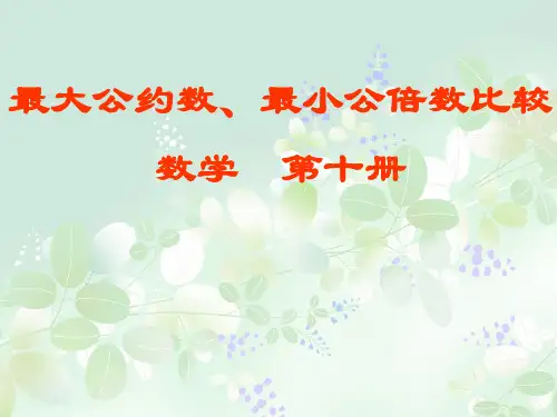 最大公约数和最小公倍数的比较PPT教学课件