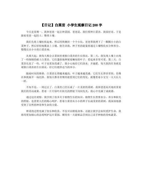 【日记】白菜苗 小学生观察日记200字