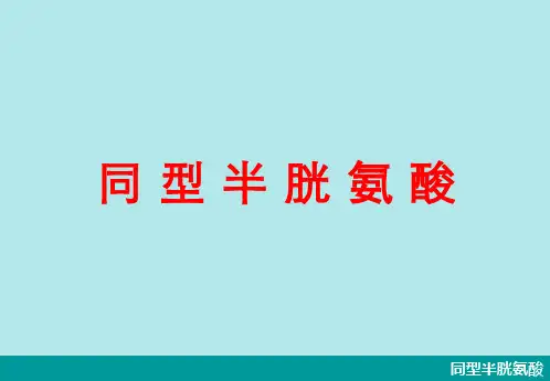 同型半胱氨酸