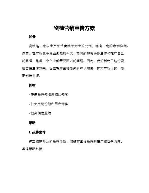 蜜柚营销宣传方案