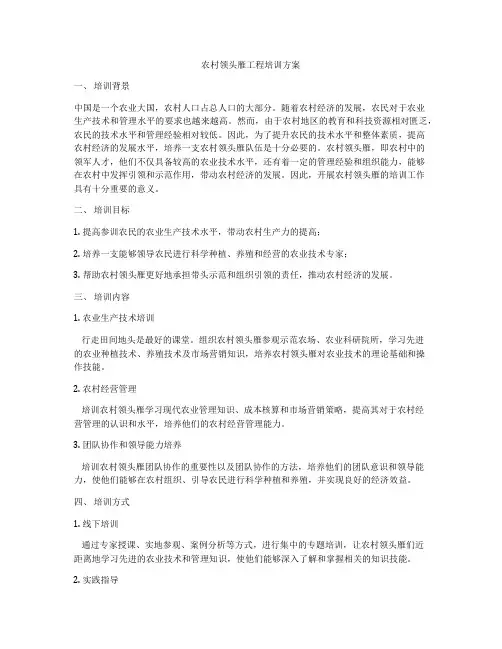 农村领头雁工程培训方案