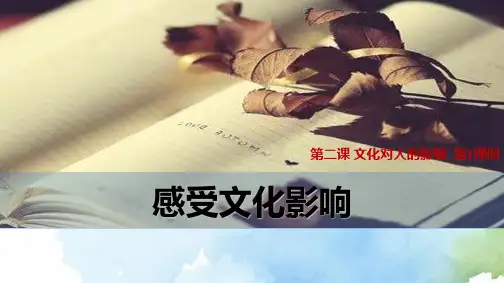 高中政治必修3精品课件18：2.1 感受文化影响