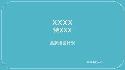 入驻天猫品牌运营计划