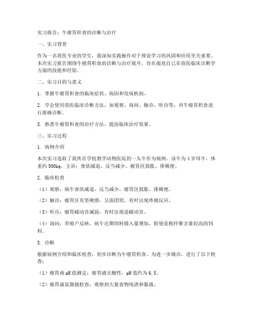 牛瘤胃积食实习报告