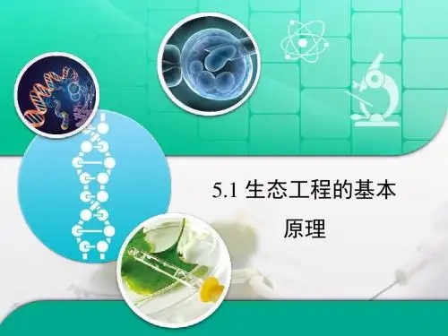 人教版高中生物选修3 5.1《生态工程的基本原理》复习课件