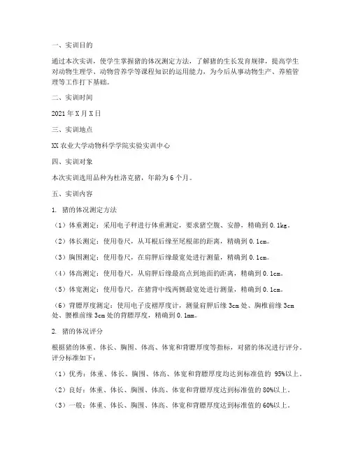 猪的体况测定实训报告