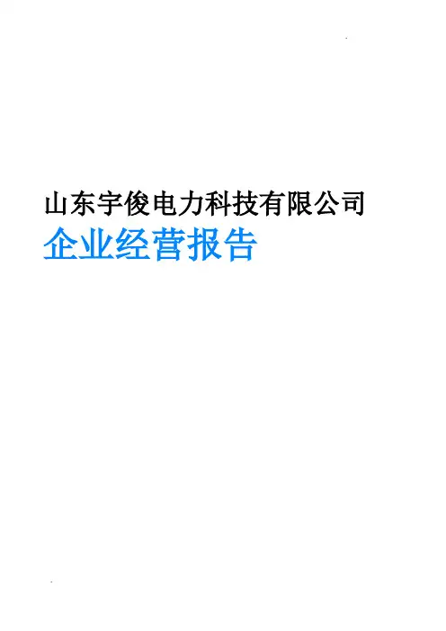 山东宇俊电力科技有限公司企业经营报告-鹰眼通