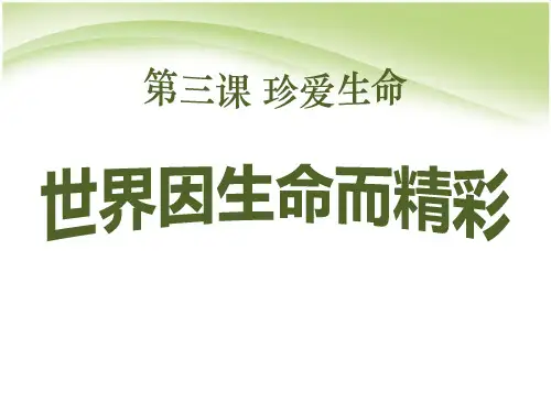 《世界因生命而精彩》珍爱生命PPT课件