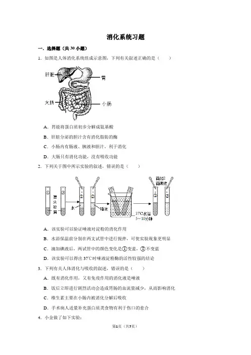 初中生物中考消化系统习题