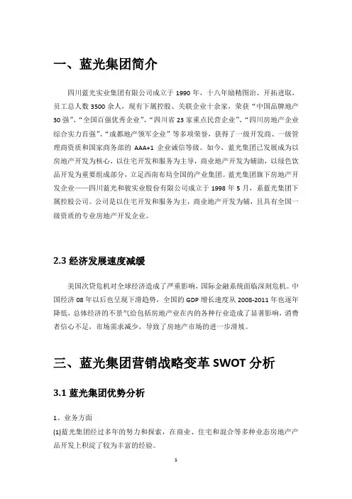 蓝光集团营销策划