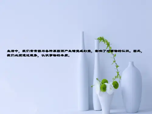 落日的幻觉PPT教学课件