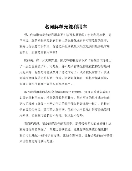 名词解释光能利用率