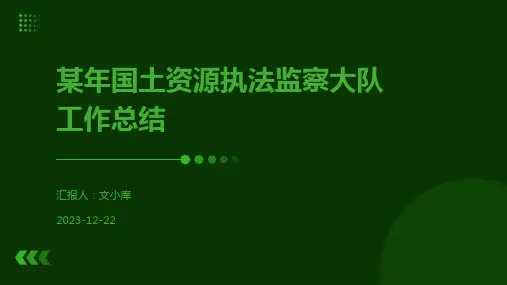 某年国土资源执法监察大队工作总结