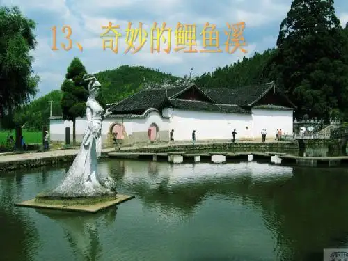奇妙的鲤鱼溪