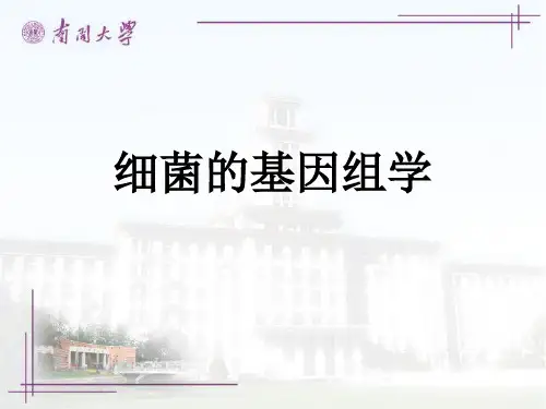 细菌学：第十章 细菌基因组学课件