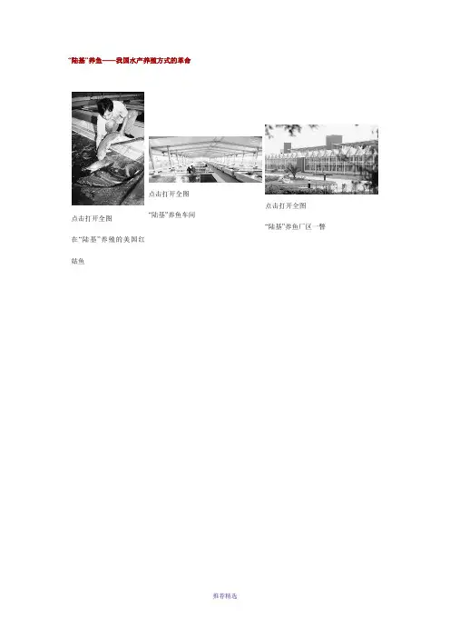 “陆基”养鱼-我国水产养殖方式的革命