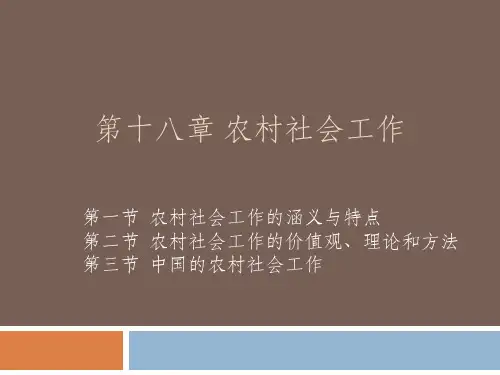 《社会工作概论》PPT 第十八章 农村社会工作