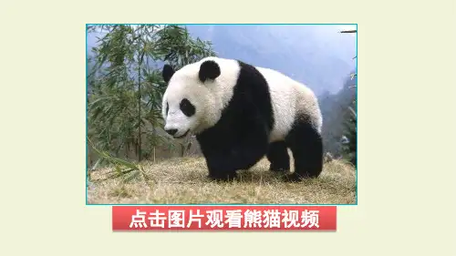 部编版三年级语文第二学期习作：国宝大熊猫PPT课件
