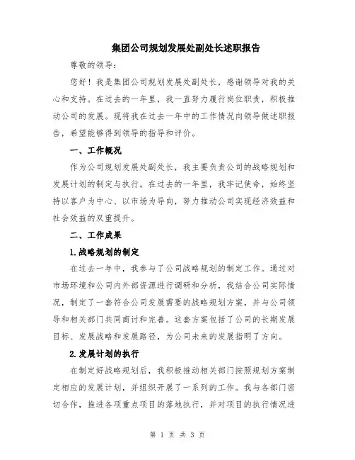 集团公司规划发展处副处长述职报告