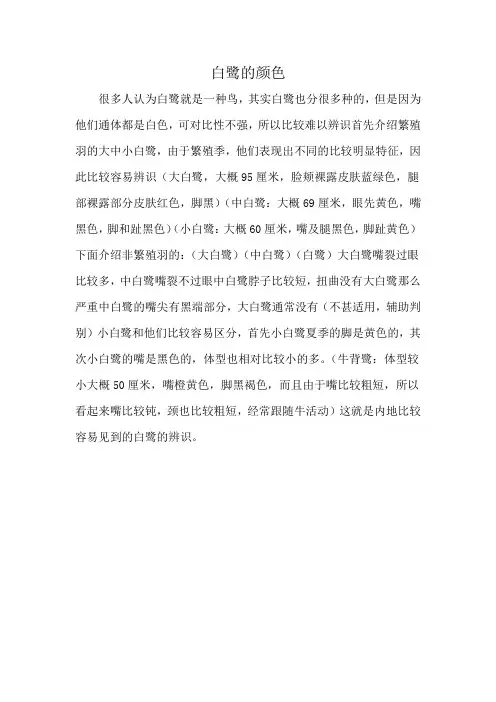 白鹭的颜色