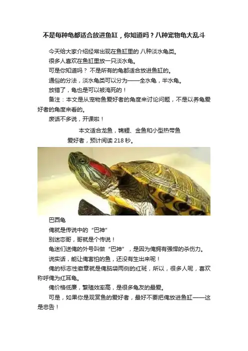 不是每种龟都适合放进鱼缸，你知道吗？八种宠物龟大乱斗