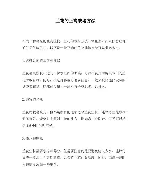 兰花的正确栽培方法