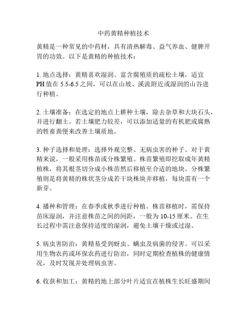 中药黄精种植技术