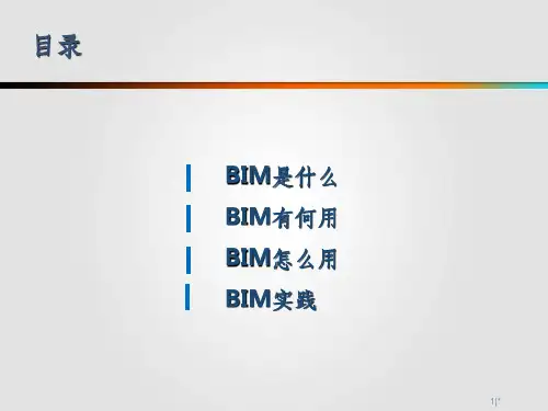 BIM技术应用ppt课件