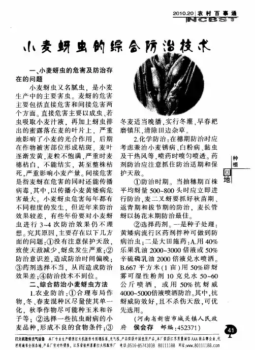 小麦蚜虫的综合防治技术