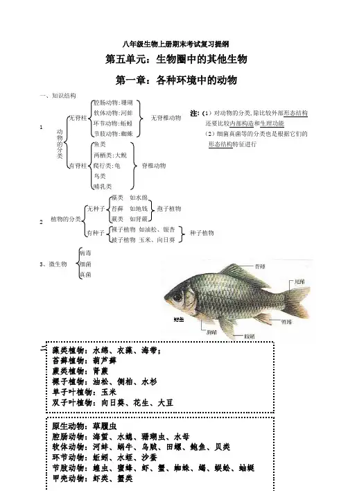 八年级上册生物复习提纲(完整整理)