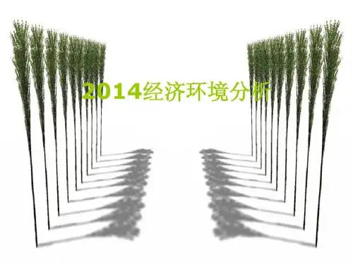 2014中国经济环境分析