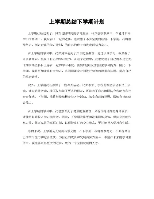 上学期总结下学期计划