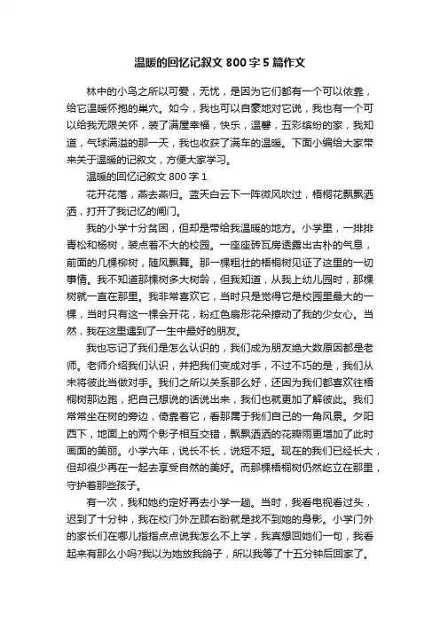 温暖的回忆记叙文800字5篇作文