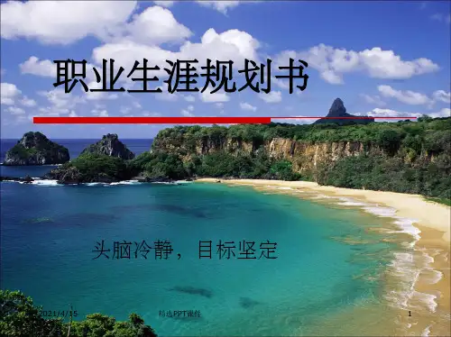 大学生会计职业规划PPT课件