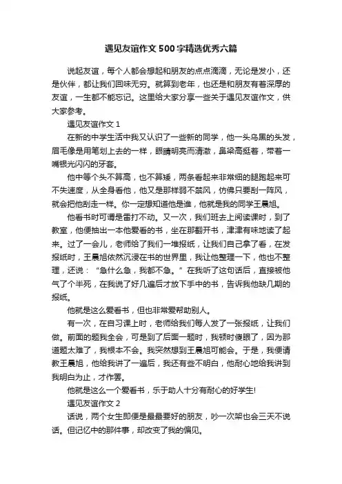 遇见友谊作文500字精选优秀六篇