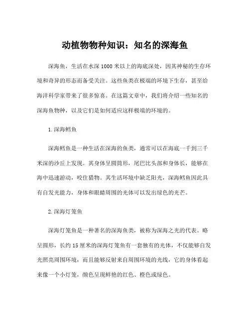动植物物种知识：知名的深海鱼