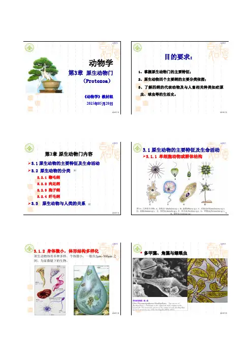 第3章 原生动物门2015
